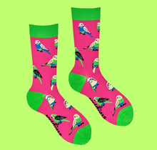 Load image into Gallery viewer, Budgie Wearing Budgie Smugglers Socks