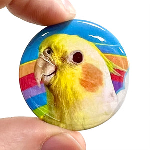 Egg-bert Cockaties & Rainbows Button Pin Badge