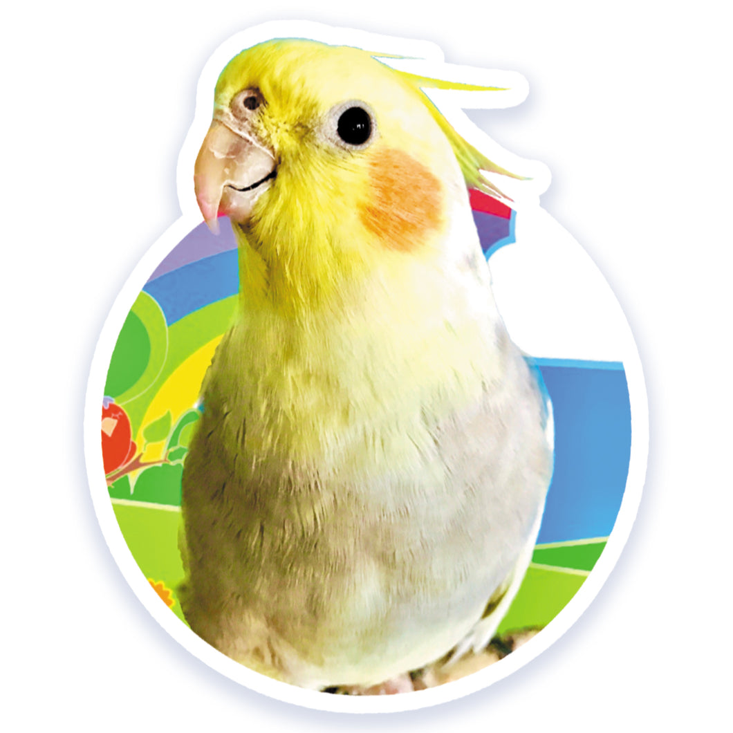 Egg-Bert Cockatiels & Rainbows Inspired Vinyl Sticker