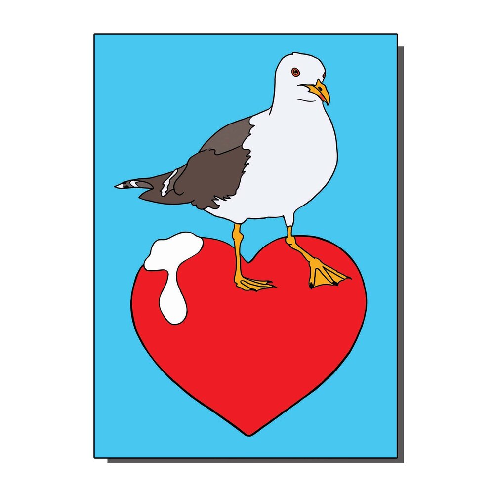 I Love Seagulls Greetings Card