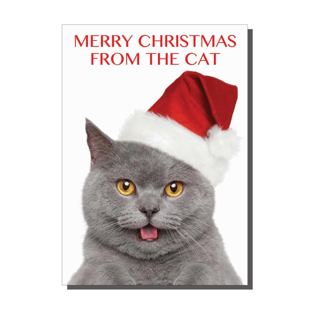Merry Christmas From The Cat Card