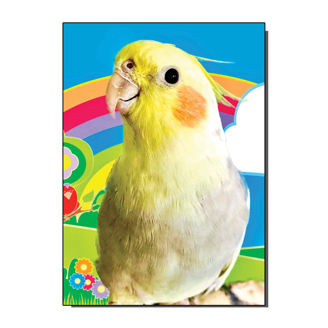 Egg-Bert The Cockatiel Greetings Card