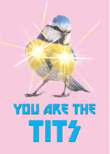 Load image into Gallery viewer, You Are The Tits Card
