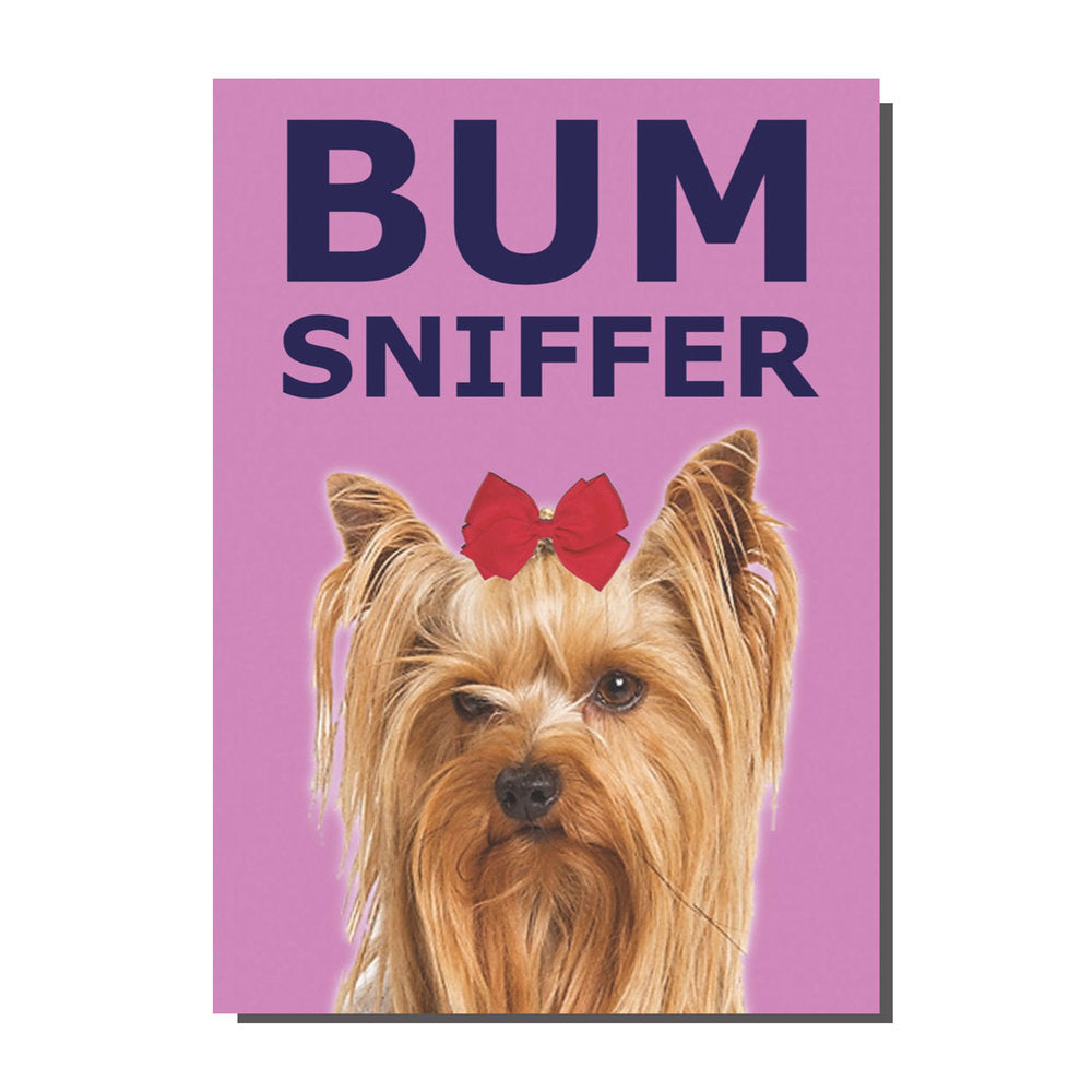 Bum Sniffer Card