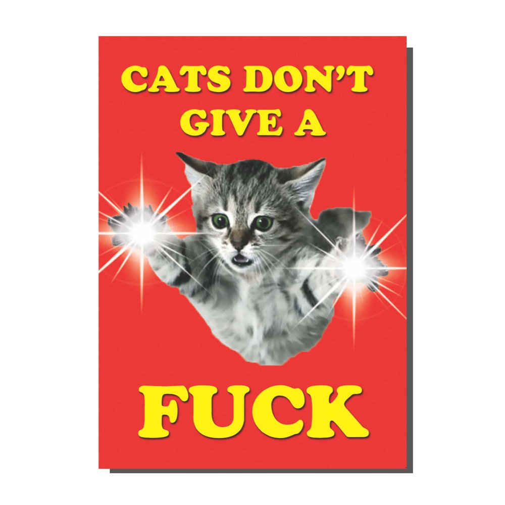 Cats Card
