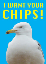 Load image into Gallery viewer, I Want Your Chips Seagull Card

