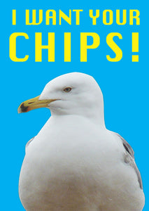 I Want Your Chips Seagull Card