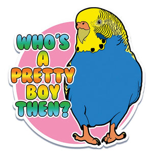 Who's A Pretty Boy Then? Budgie Vinyl Sticker